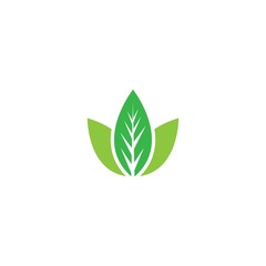 leaf vector template icon design