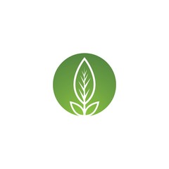 leaf vector template icon design