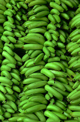 Texture of green bananas, Quindio Colombia