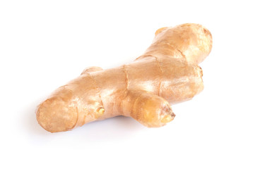 Fresh ginger root  islolated on white background for herb and medical product concept