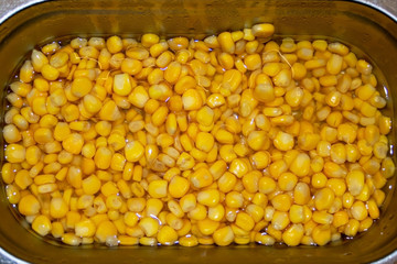 Organic fresh corn seeds 