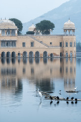 Obraz premium jal mahal birds