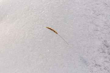 natural ice pattern background with grass