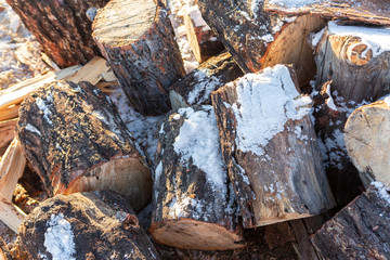 Preparation of firewood for the winter