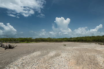 Tidal floodplain with seashells