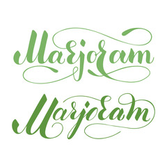 Vector hand written marjoram text isolated on white background. Kitchen healthy herbs and spices for cooking. Script brushpen lettering with flourishes. Handwriting for banner, poster, product label