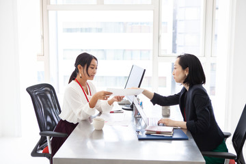 資料を確認し合う女性社員たち