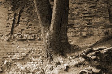 Historical fortification. The location is known as the Green Theater. Kiev, Ukraine.