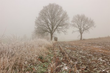 Feld mit Knick und Bäumen und Jagd Kanzel im Nebel im Winter