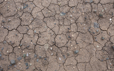 Global warming drought. Creative cracks in the ground