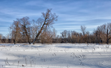 Winter frozen river on a sunny day