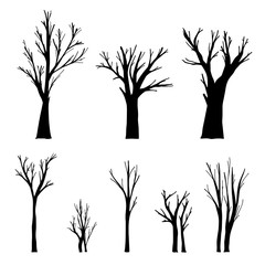 Set of isolated tree trunks and branches on a white background. Hand drawn vector illustrations. Nature concept