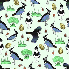 Seamless pattern with hand drawn lapwing. Vector illustration. EPS 10