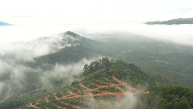 Aerial view of a drone and the forest behind the clouds.