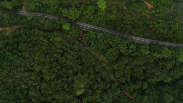 Aerial view using drones in the Palm Oil area. Drones showing housing and roads located in the Palm Oil fields.