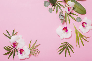 orchid flowers and green leaves on pink paper background
