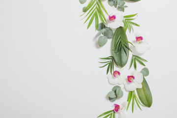 orchid flowers and green leaves on white background