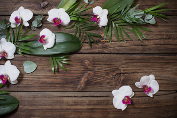 beautiful orchids and tropic leaves on old wooden background