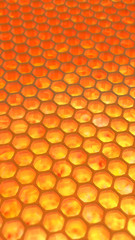 Render of a honeycomb in backlit honeycombs