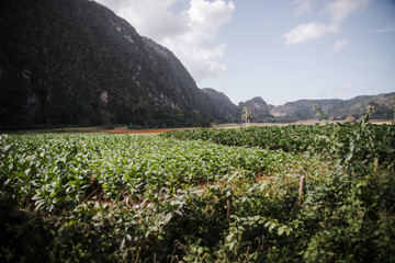 Rural views of the mountains in Cuba. 