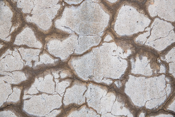 Rough concrete wall with cracks. Abstract background. © Sergei