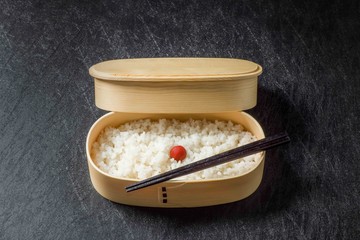 おべんとう　Japanese style famous lunch box (bento)