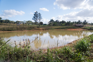 A pond in Vinales, Cuba. 