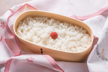 おべんとう　Japanese style famous lunch box (bento)