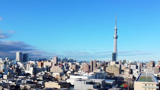 東京の下町とスカイツリー