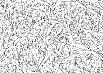Fototapeta premium leaves background