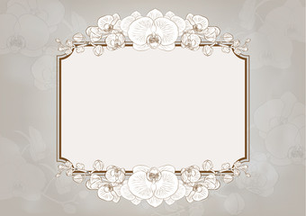 orchid flowers frame © enterphoto