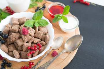 chocolate cereal pads with berries in bowl Healthy tasty breakfast chocolate square pads with strawberries, raspberries, black currants and red currants.