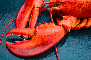 Steamed lobster seafood on black background