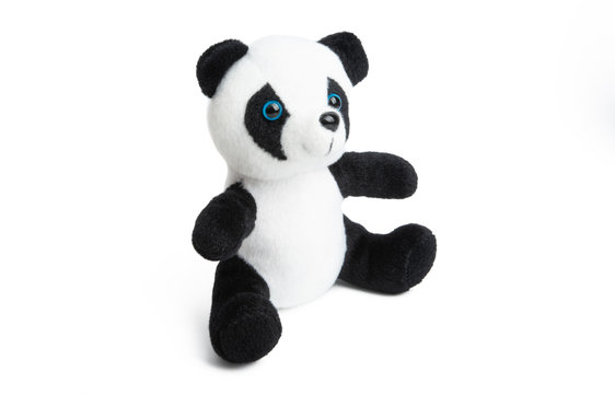 Soft Panda Bear Isolated