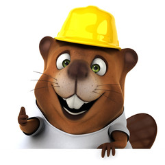 Beaver with a white tshirt © Julien Tromeur