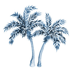 Fototapeta na wymiar Blue palm tree isolated on white background. Watercolor illustration. 