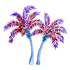 Fototapeta na wymiar Blue and purple palm tree isolated on white background. Watercolor illustration.