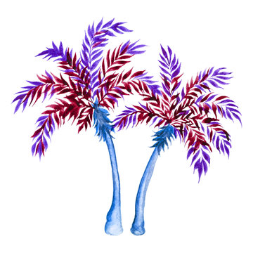 Blue and purple palm tree isolated on white background. Watercolor illustration.