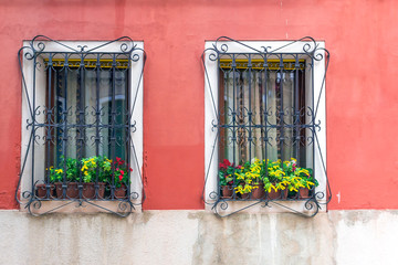 Fototapeta na wymiar window with flowers and bars on the windows