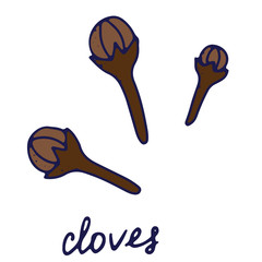 Hand drawn isolated indian food icon. Color fill illustration of indian spice. Cloves icon