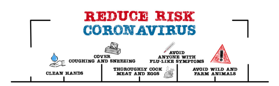 Reduce Risk Coronavirus. Symptoms, Hygiene, Cooking, Wildlife And Farm Animals. Chart With Keywords And Icons