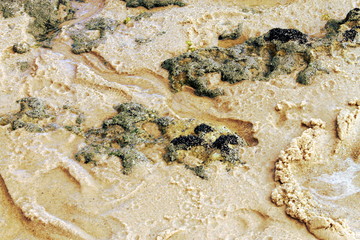 Rocks lapped by the tide