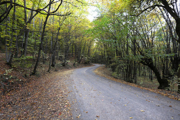 Obraz premium winding mountain road