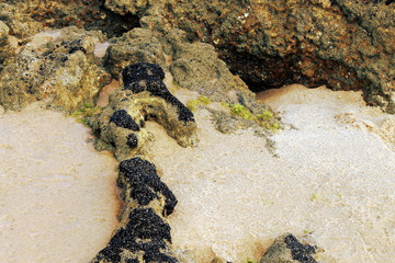 Rocks lapped by the tide