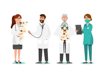Wall murals Veterinarians Veterinarian and doctor with dog in vet clinic