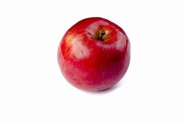 Red ripe apple