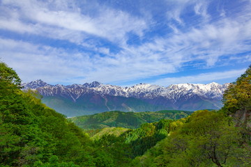 Fototapeta na wymiar 白沢峠から眺める北アルプスの山々、長野県北安曇郡白馬村にて