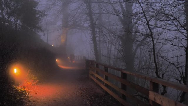 Tres fantasmas espectrales caminas dentro de un bosque nocturno terror&iacute;fico en la niebla