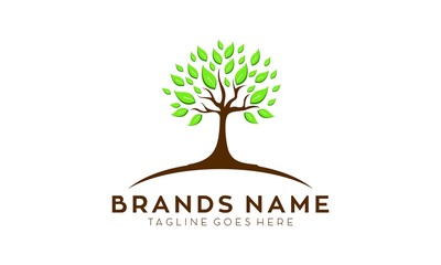Obraz premium Tree simple illustration vector logo design