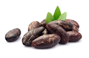Cocoa beans closeup.